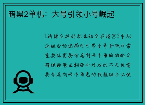 暗黑2单机：大号引领小号崛起